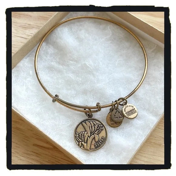Alex and Ani Jewelry Alex And Ani Charm Bracelet Sister